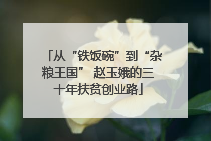 从“铁饭碗”到“杂粮王国” 赵玉娥的三十年扶贫创业路