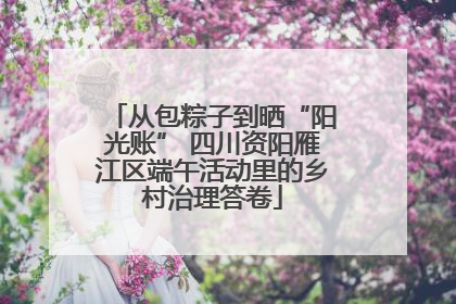 从包粽子到晒“阳光账” 四川资阳雁江区端午活动里的乡村治理答卷