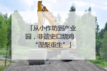 从小作坊到产业园，非遗史口烧鸡“涅槃重生”