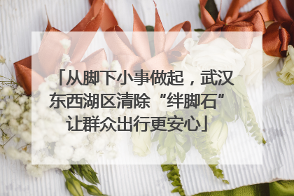 从脚下小事做起，武汉东西湖区清除“绊脚石”让群众出行更安心