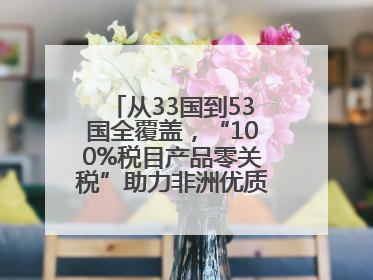 从33国到53国全覆盖，“100%税目产品零关税”助力非洲优质商品入华