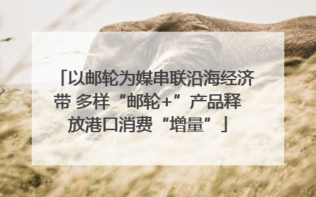 以邮轮为媒串联沿海经济带 多样“邮轮+”产品释放港口消费“增量”