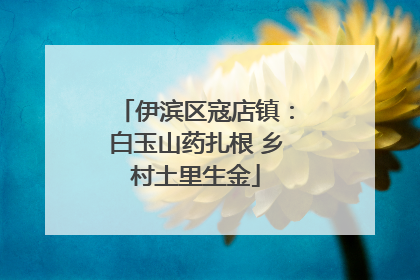 伊滨区寇店镇：白玉山药扎根 乡村土里生金