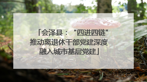会泽县：“四进四链”推动离退休干部党建深度融入城市基层党建