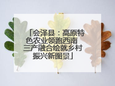 会泽县：高原特色农业领跑西南 三产融合绘就乡村振兴新图景