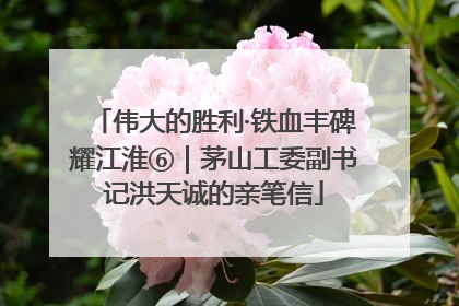 伟大的胜利·铁血丰碑耀江淮⑥｜茅山工委副书记洪天诚的亲笔信