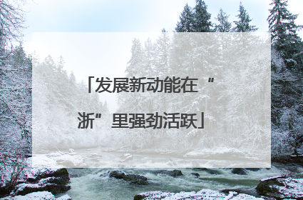 发展新动能在“浙”里强劲活跃