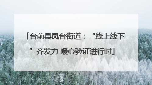 台前县凤台街道：“线上线下”齐发力 暖心验证进行时
