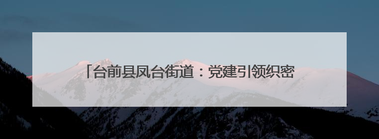 台前县凤台街道：党建引领织密防火网 干群携手共护家园安