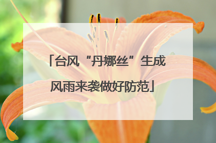 台风“丹娜丝”生成 风雨来袭做好防范