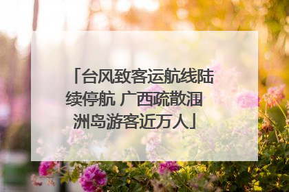台风致客运航线陆续停航 广西疏散涠洲岛游客近万人