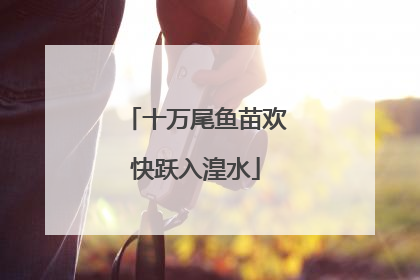 十万尾鱼苗欢快跃入湟水
