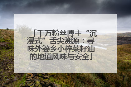 千万粉丝博主“沉浸式”舌尖溯源：寻味外婆乡小榨菜籽油的地道风味与安全
