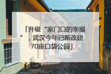 升级“家门口的幸福”，武汉今年已新改建70座口袋公园
