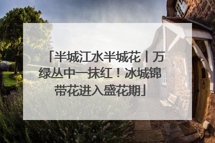 半城江水半城花丨万绿丛中一抹红！冰城锦带花进入盛花期