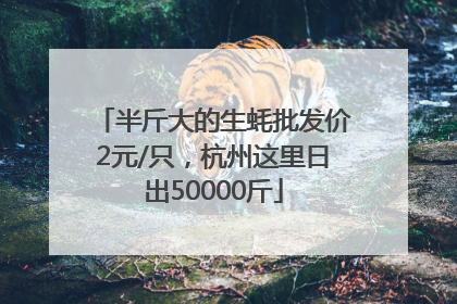 半斤大的生蚝批发价2元/只，杭州这里日出50000斤