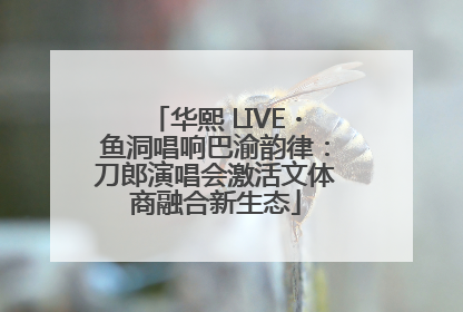 华熙 LIVE・鱼洞唱响巴渝韵律：刀郎演唱会激活文体商融合新生态