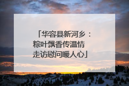 华容县新河乡：粽叶飘香传温情 走访慰问暖人心