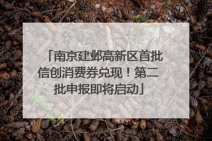南京建邺高新区首批信创消费券兑现！第二批申报即将启动