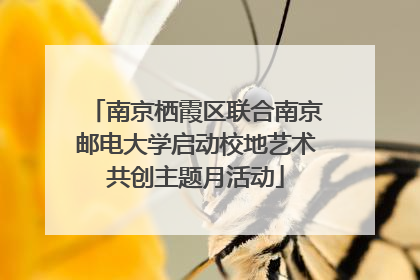 南京栖霞区联合南京邮电大学启动校地艺术共创主题月活动