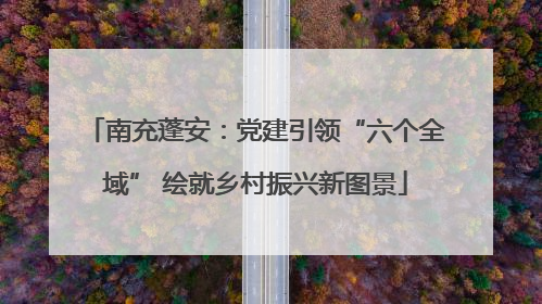南充蓬安：党建引领“六个全域” 绘就乡村振兴新图景