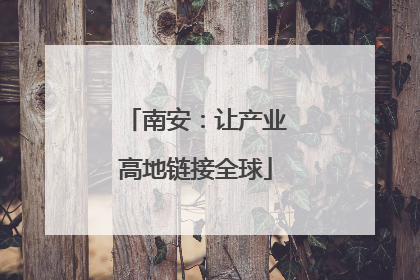 南安：让产业高地链接全球