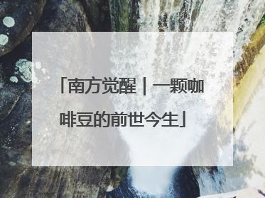 南方觉醒｜一颗咖啡豆的前世今生