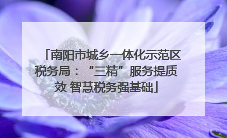 南阳市城乡一体化示范区税务局：“三精”服务提质效 智慧税务强基础