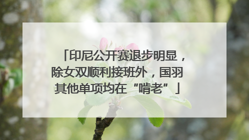印尼公开赛退步明显，除女双顺利接班外，国羽其他单项均在“啃老”