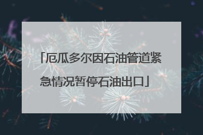 厄瓜多尔因石油管道紧急情况暂停石油出口