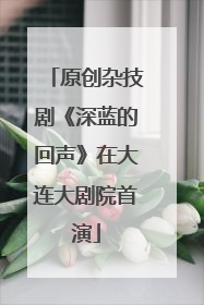原创杂技剧《深蓝的回声》在大连大剧院首演