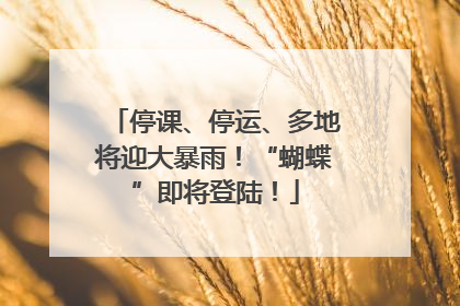 停课、停运、多地将迎大暴雨！“蝴蝶”即将登陆！
