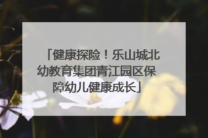 健康探险！乐山城北幼教育集团青江园区保障幼儿健康成长