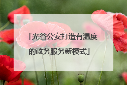 光谷公安打造有温度的政务服务新模式