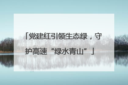 党建红引领生态绿，守护高速“绿水青山”