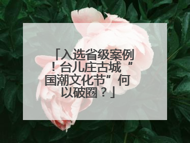 入选省级案例！台儿庄古城“国潮文化节”何以破圈？