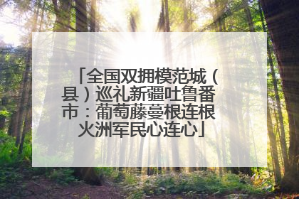 全国双拥模范城（县）巡礼新疆吐鲁番市：葡萄藤蔓根连根 火洲军民心连心