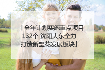 全年计划实施重点项目132个 沈阳大东全力打造新望花发展板块
