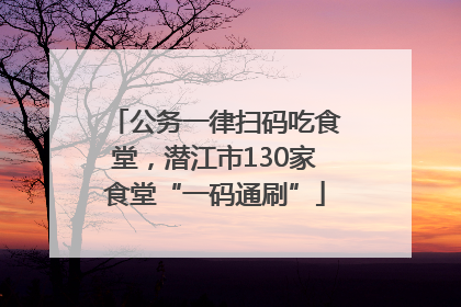 公务一律扫码吃食堂，潜江市130家食堂“一码通刷”