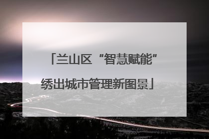 兰山区“智慧赋能”绣出城市管理新图景