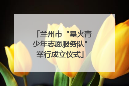 兰州市“星火青少年志愿服务队”举行成立仪式