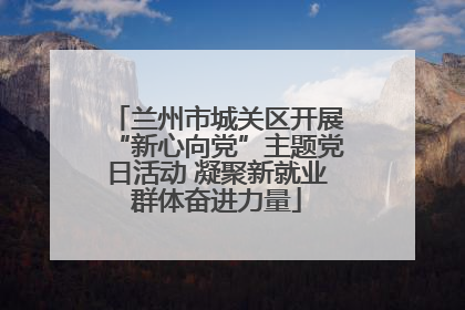 兰州市城关区开展“新心向党”主题党日活动 凝聚新就业群体奋进力量