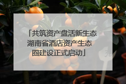 共筑资产盘活新生态 湖南省酒店资产生态圈建设正式启动