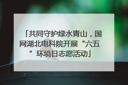 共同守护绿水青山，国网湖北电科院开展“六五”环境日志愿活动