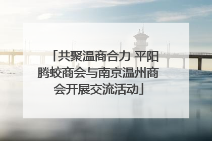 共聚温商合力 平阳腾蛟商会与南京温州商会开展交流活动