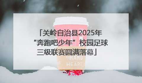 关岭自治县2025年“奔跑吧少年”校园足球三级联赛圆满落幕