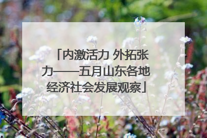 内激活力 外拓张力——五月山东各地经济社会发展观察