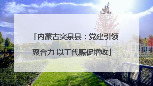 内蒙古突泉县：党建引领聚合力 以工代赈促增收