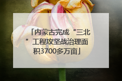 内蒙古完成“三北”工程攻坚战治理面积3700多万亩