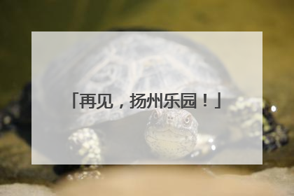 再见，扬州乐园！